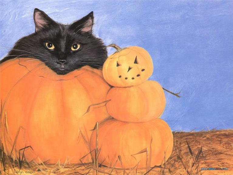 Lyn Estall - Cat-o-Lantern