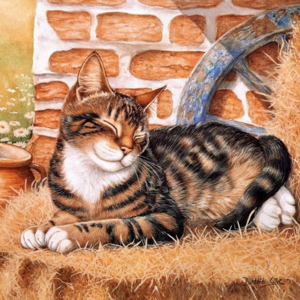 Portrait of cat. Cook Debbie
