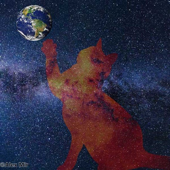 Alex Mir - Star Cat