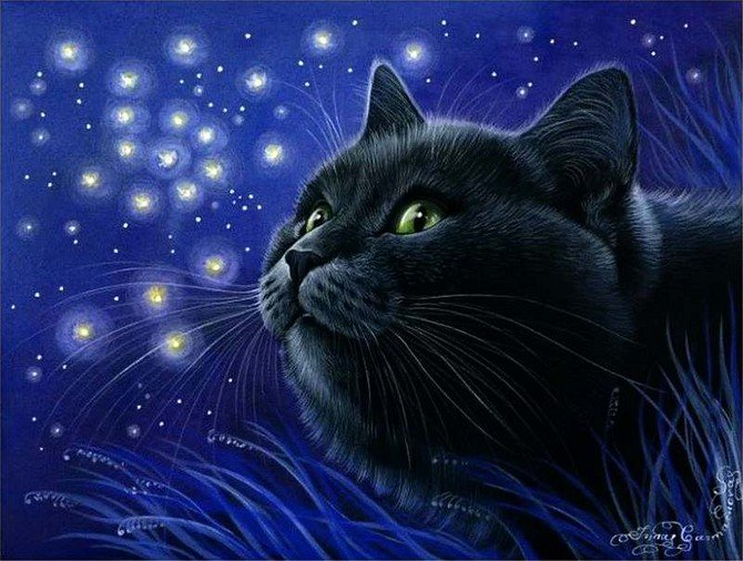 Irina Garmashova - Cat Astrologer