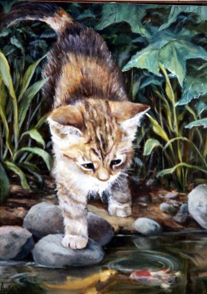 Kitten - Pat Durgin