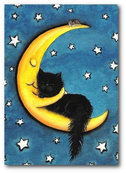 Cat And Moon