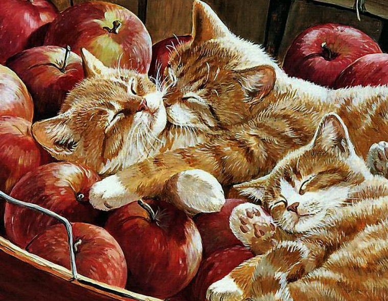 Persis Clayton Weirs - Kitten Caboodle