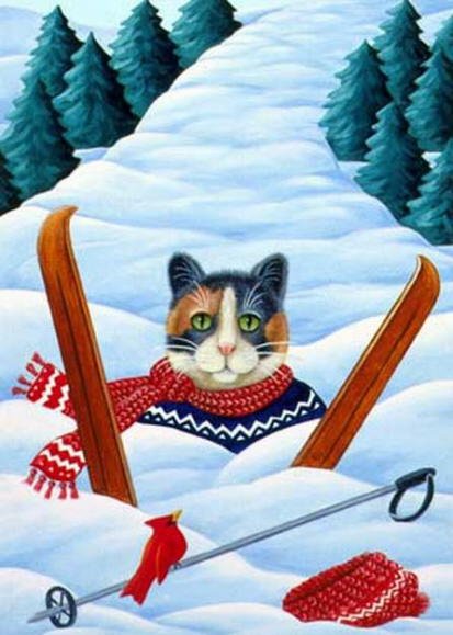 Brownd Elizabeth - Snow Skies Cat