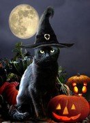 Gina Femrite - Halloween Kitty