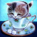 Kitten in the cup