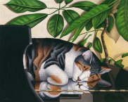 Grand Dreams - Cat on Piano - Carol Wilson