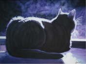 Black Cat Moonlight - Delof