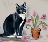 Frances Byrne - Cat painting