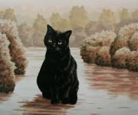 Francois Knopf - Cat on the water