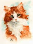 Gary Brown - Trents Cat