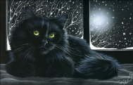 Cat in the Window - Irina Garmashova