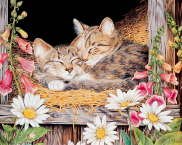 Kittens on Hay - Jane Maday