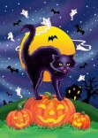 Halloween Cat - Janet Skiles