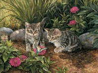Rosemary Millette - Double trouble cats