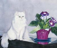 Cat and potted plant - Sharon Farber