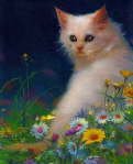 Thomas Galasinski - White Cat