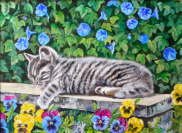 Kitty cat nap - Val Stokes